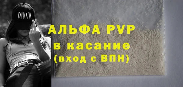 метадон Богданович