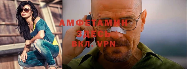 сатива Белокуриха