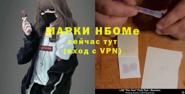 сатива Белокуриха