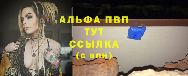 метадон Богданович