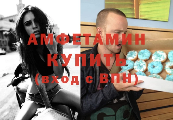 метадон Богданович