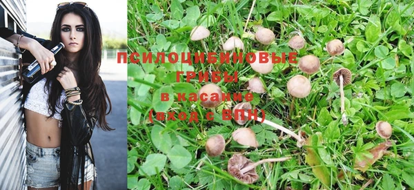 МДПВ Богородск