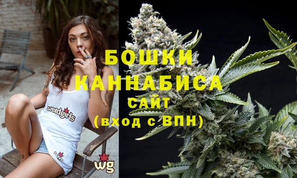 метадон Богданович