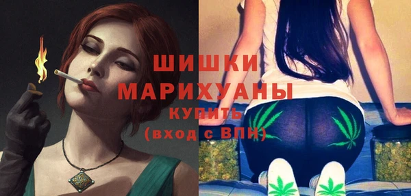 МДПВ Богородск