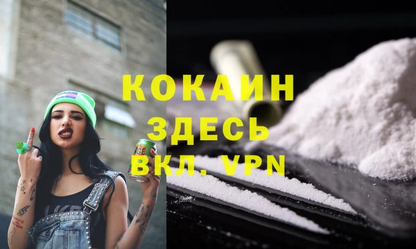 метадон Богданович