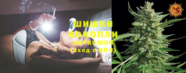 mix Богородицк