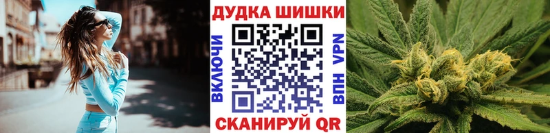 где найти   Беслан  Шишки марихуана семена 